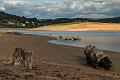 2016_10_09 (0071)